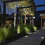 Ace Down   -  Corten