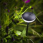 Sway Light Head   -  Black