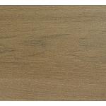 Forest 80X40X4 Betula Brown