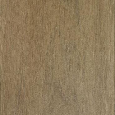 Forest 80X40X4 Betula Brown