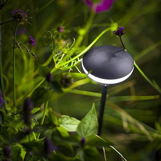 Sway Light Head   -  Black