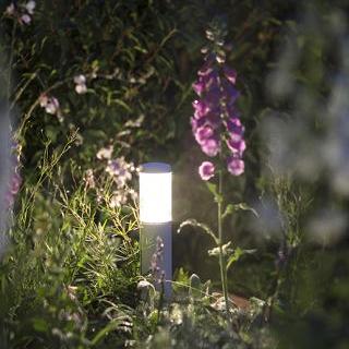 Liv Low    -  Rose Silver