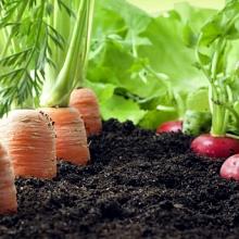 Klaasse Bos Tuinmaterialen